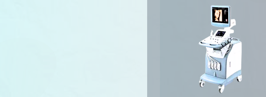 banner1